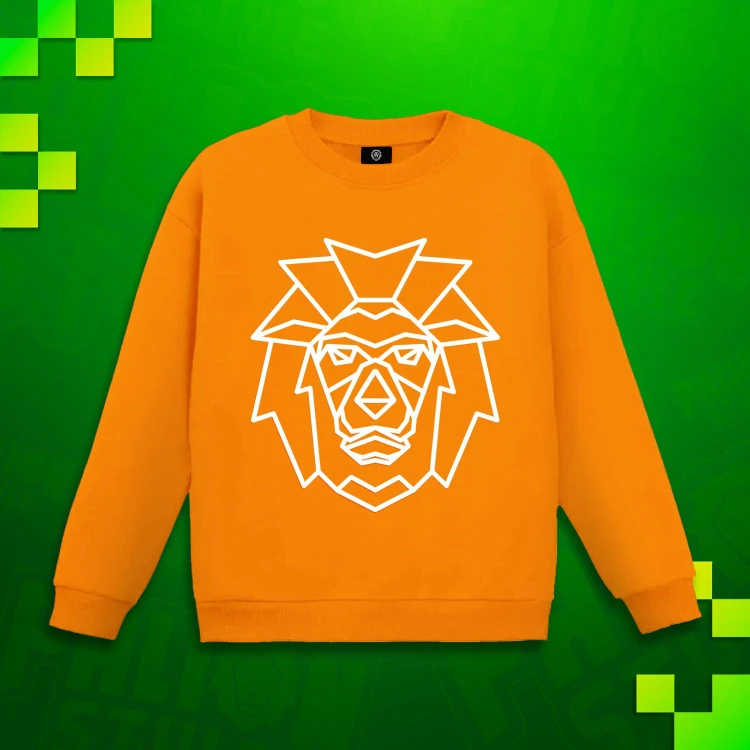 Bluza1.jpeg
