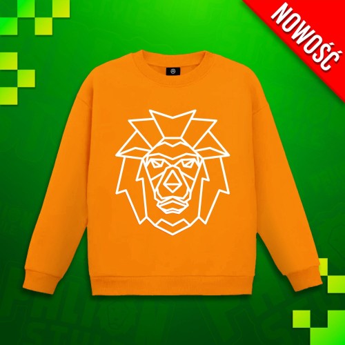 Bluza2.jpeg