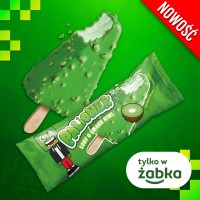 4. PALIONEK_lody o smaku kiwi+N+J_1.jpg